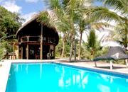 Reflorested farm for sale,