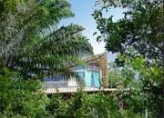 Vende-se sítio agroecológico com casa